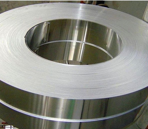 304 Stainless Steel Strips, AISI 304 SS Strips